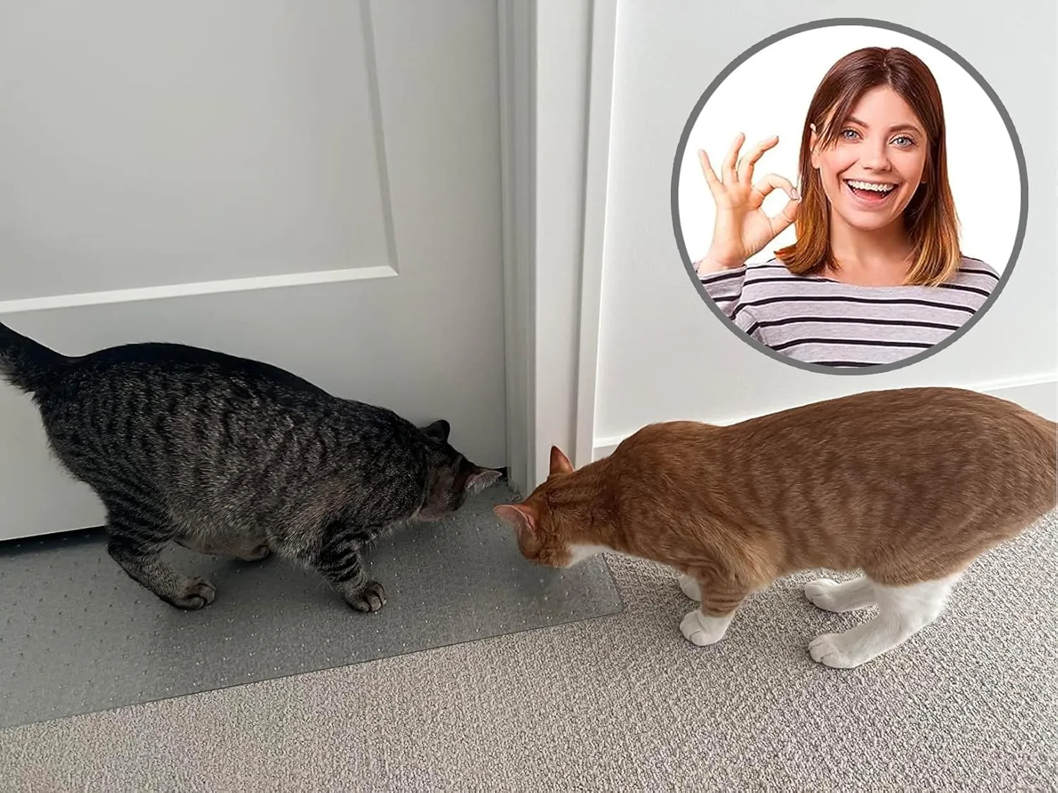 KittySmart Carpet Scratch Stopper-Stop Cats from Scratching Carpets at Doorways Instantly-PRECUT to Fit Your Door-Requires No Cutting or Modification-5 Year Warranty-Patented