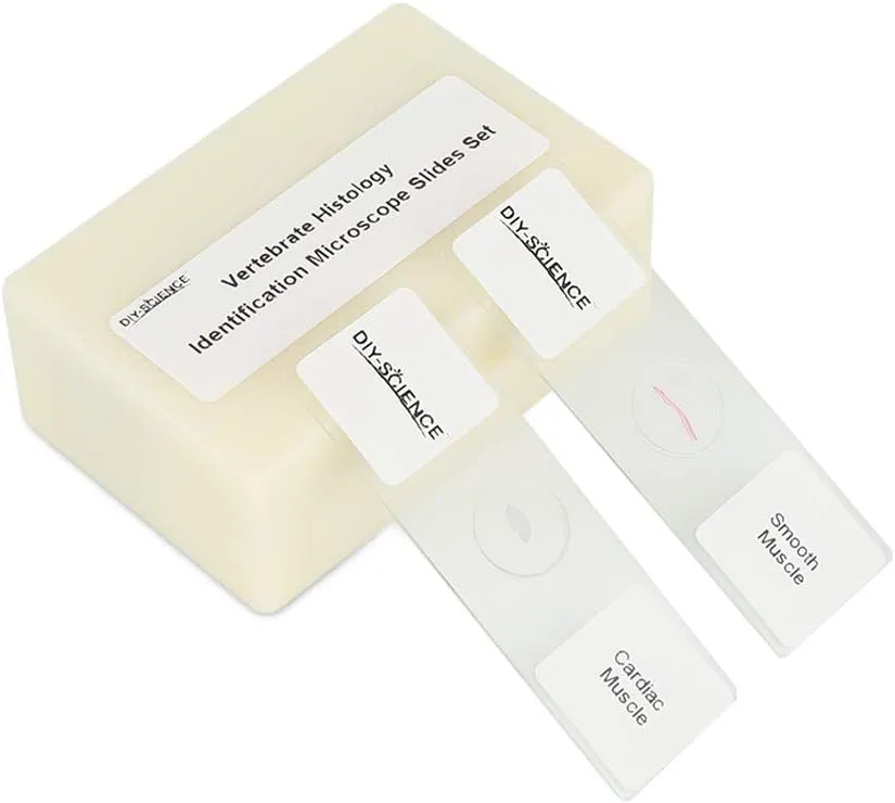 Prepared Vertebrate Histology Identification Microscope Slide Set, 12pcs Specimens Representing The Major Types of Vertebrate