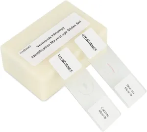 Prepared Vertebrate Histology Identification Microscope Slide Set, 12pcs Specimens Representing The Major Types of Vertebrate