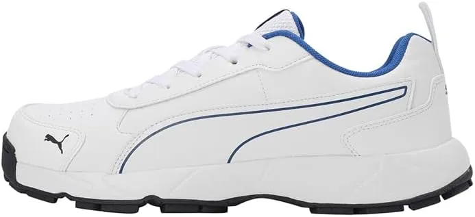 Puma mens Cricket Classicat Cricket Shoe