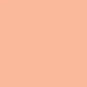 Rosco Roscolux Gel Quick Sleeve  Dark B. Amber