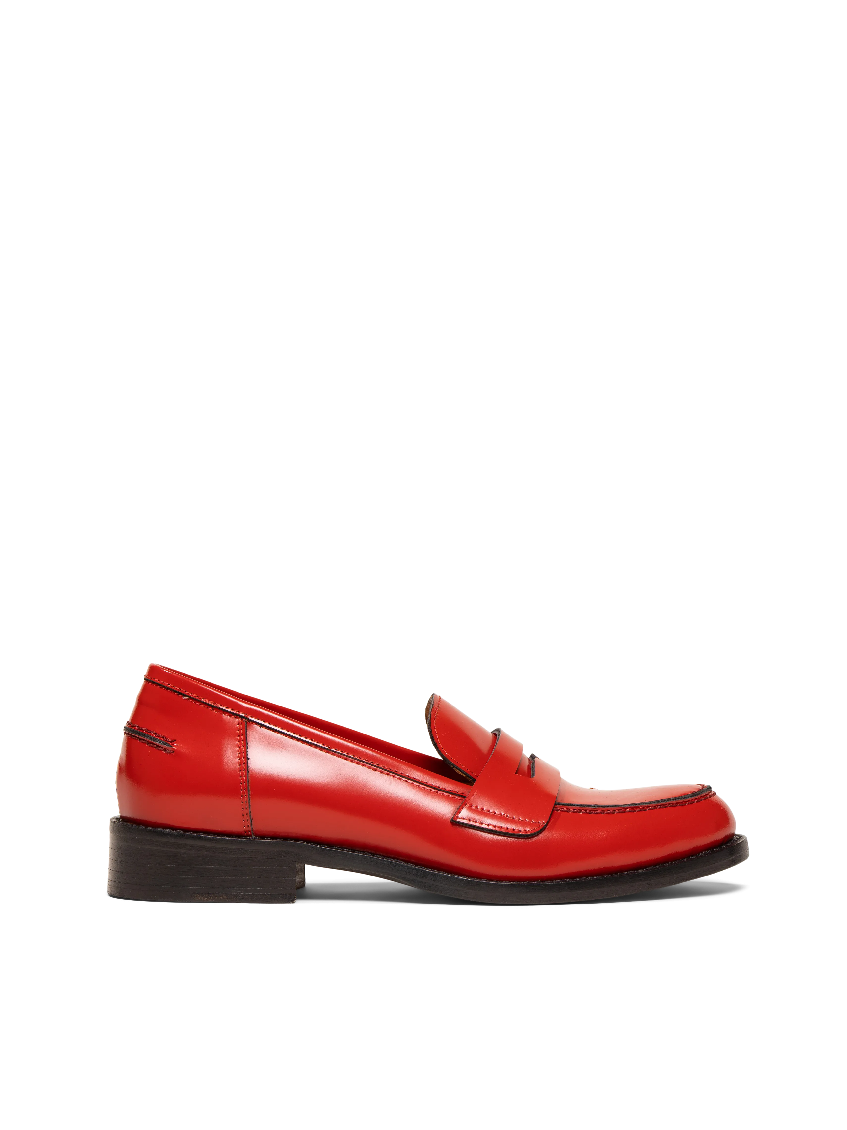 The Lucido (Sample Sale)