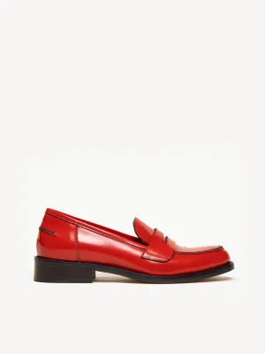 The Lucido (Sample Sale)